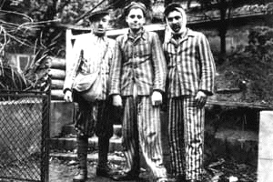 3 Polish Jews
surviving
Auschwitz