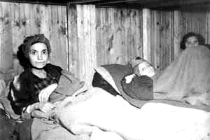 Hungarian
Jewish female
survivors