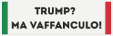 trump
                                                      vaffanculo